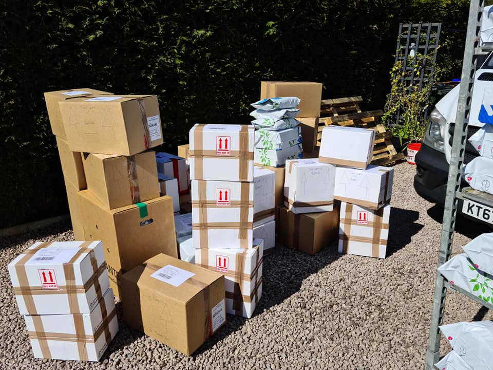 The Reality of Buying Plants Online