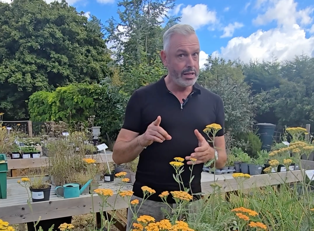 Drought-Tolerant Plants with John Cullen Gardens
