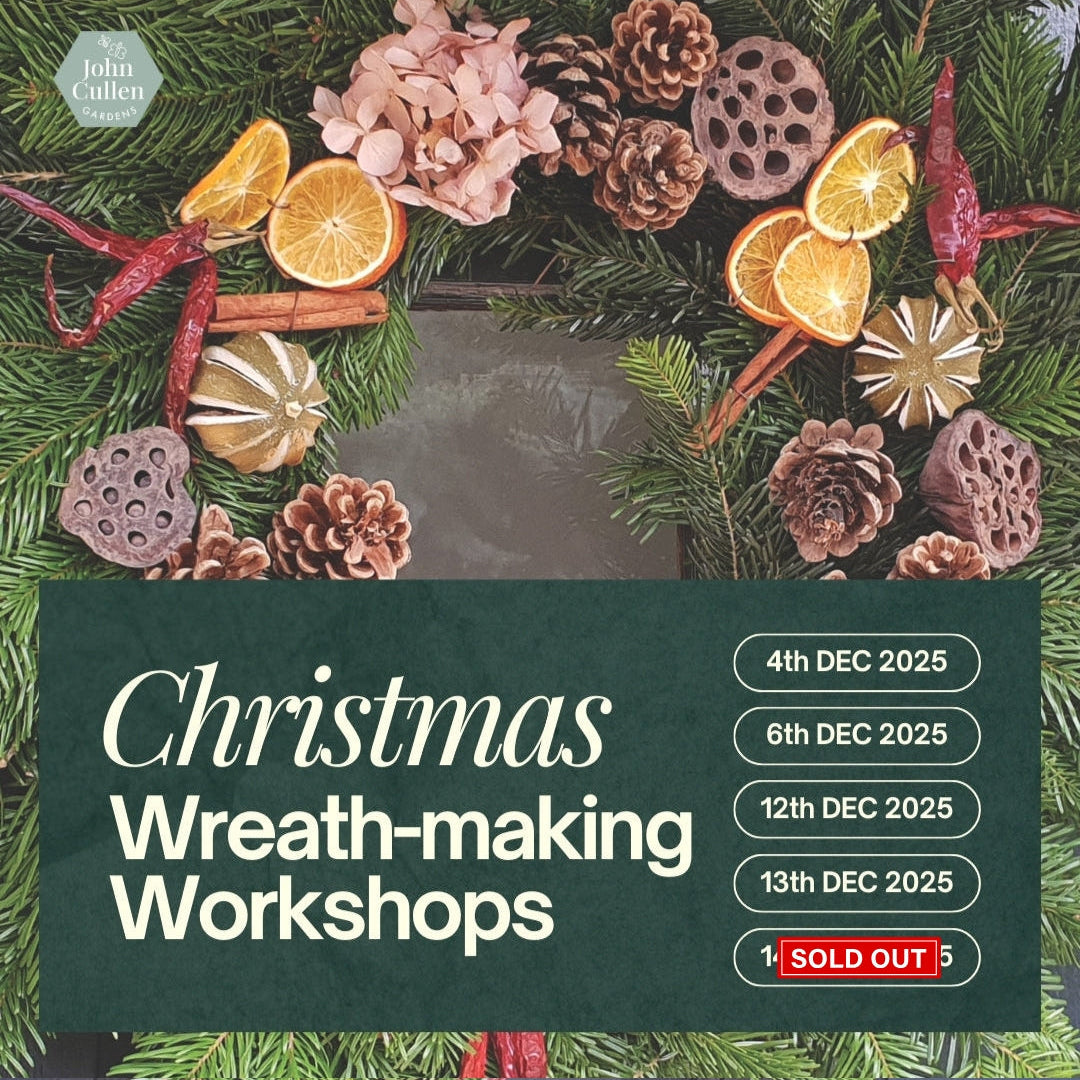 Christmas Wreath-making Workshop December 2025 - John Cullen Gardens