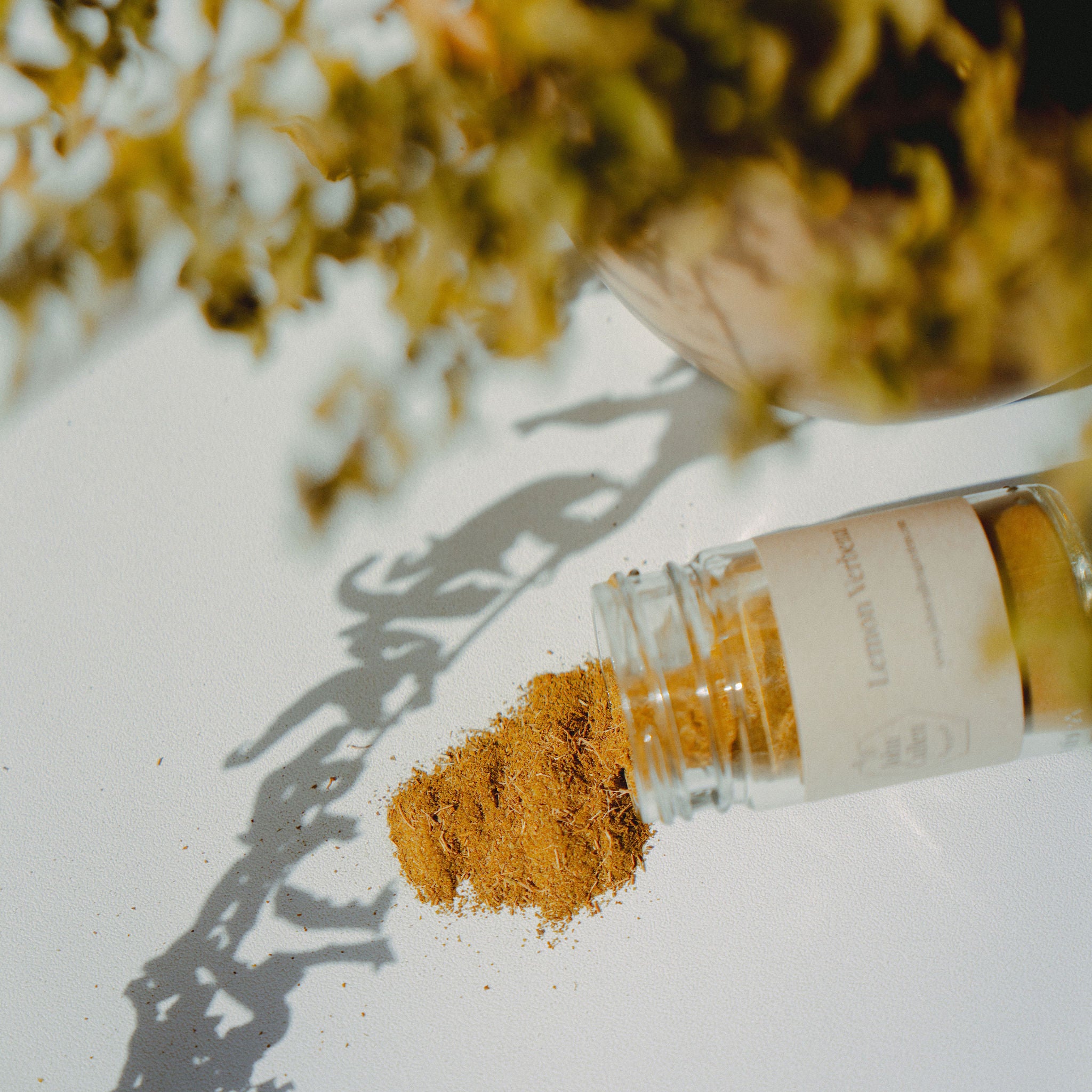 Lemon Verbena Dust - John Cullen Gardens