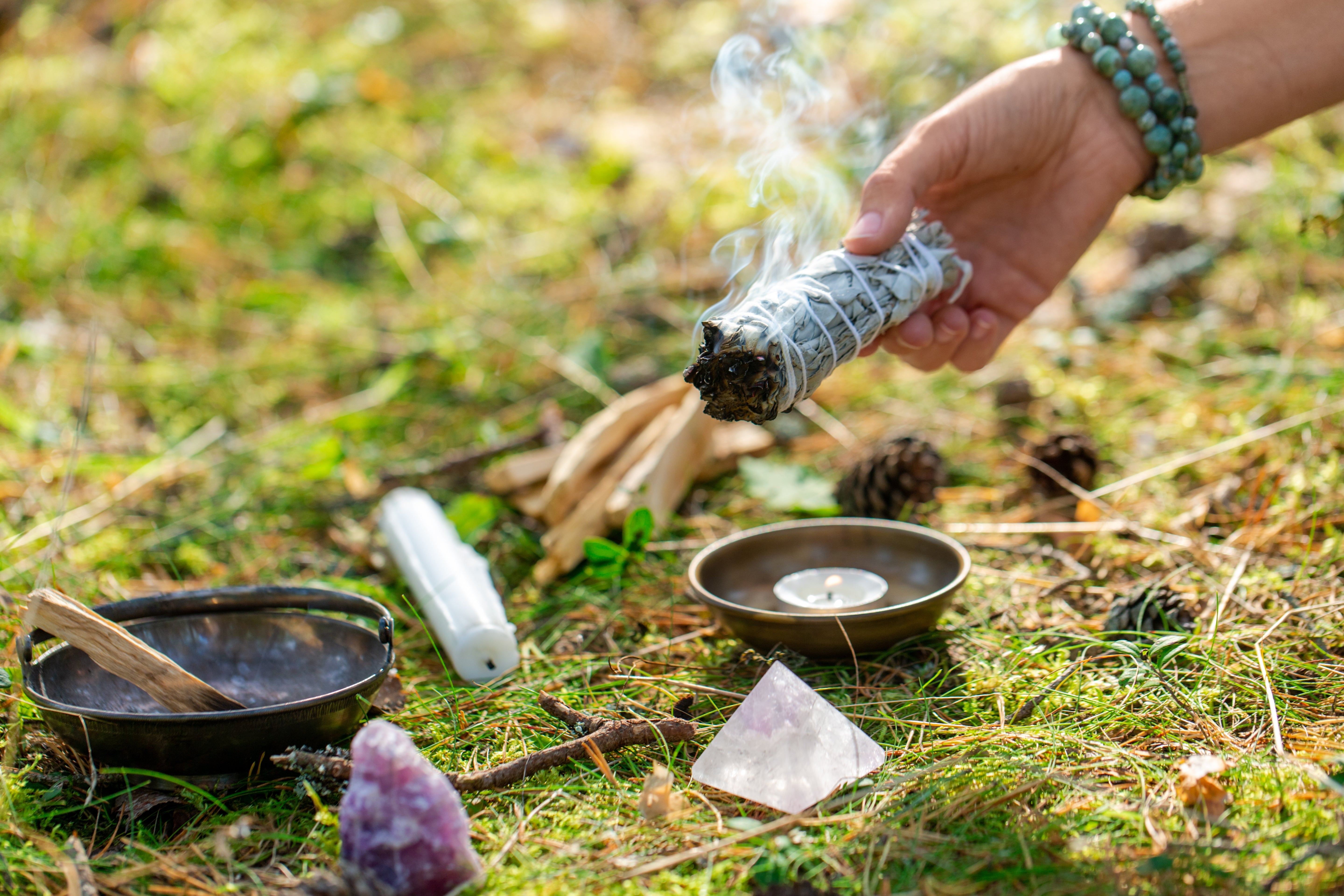 Sage White - John Cullen Gardens