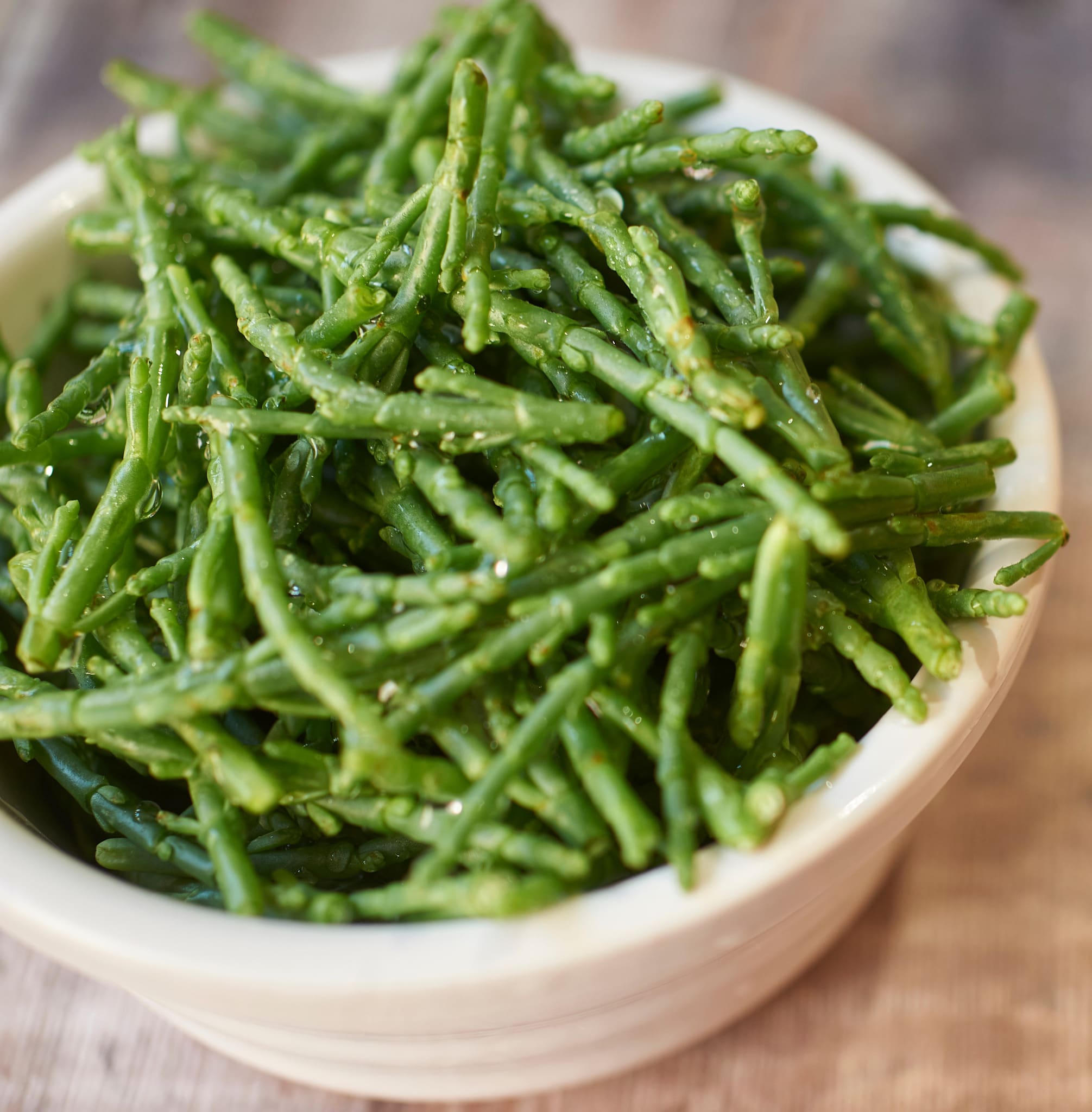 Samphire - John Cullen Gardens