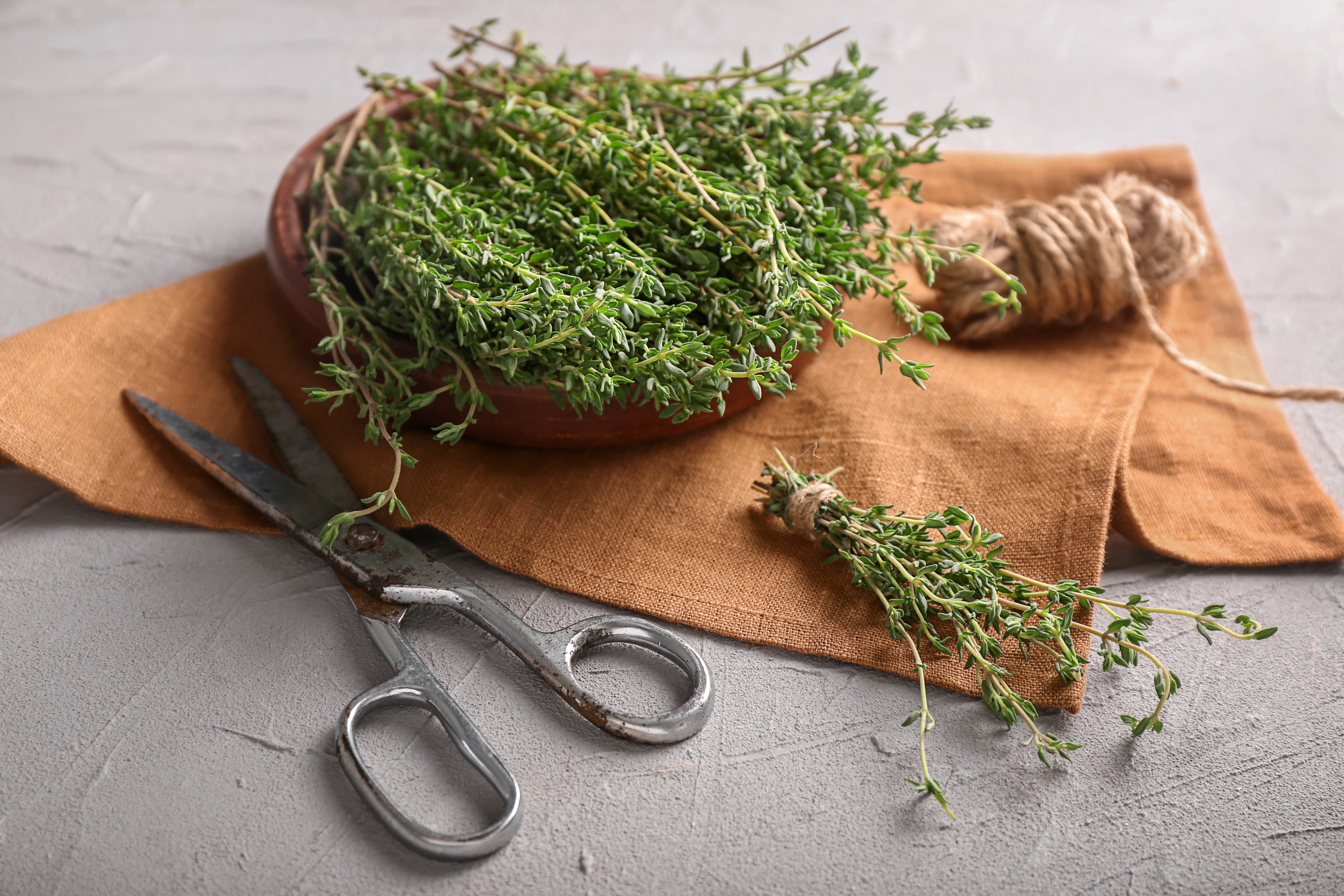 Thyme powder - John Cullen Gardens