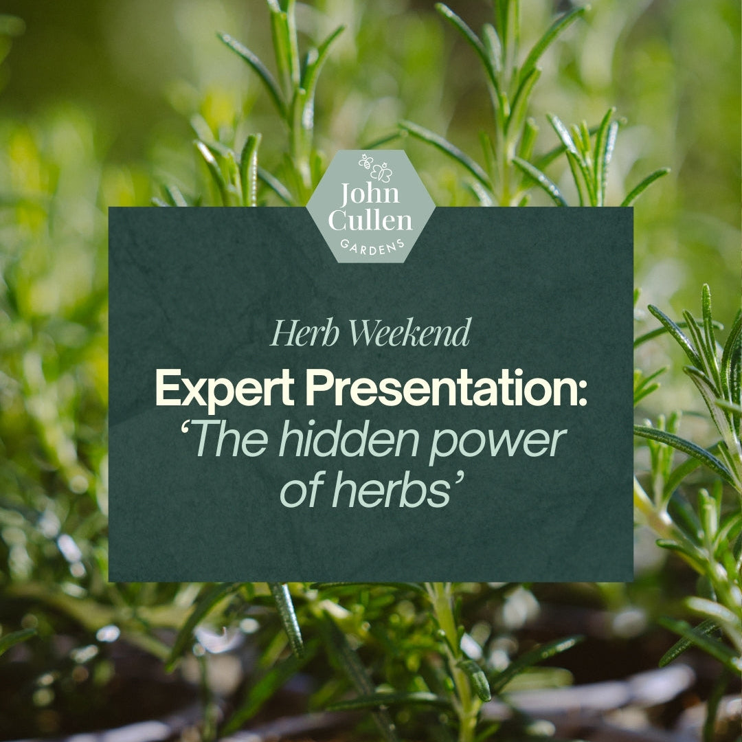 John Cullen Gardens Herb Weekend – Expert Presentation: ‘The hidden power of herbs’ APRIL 2026 - John Cullen Gardens